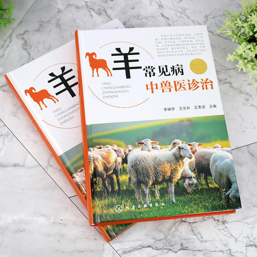 羊常见病中兽医诊治 商品图6