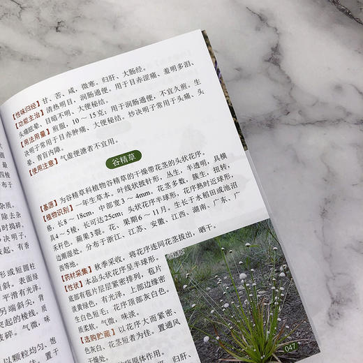 袖珍中草药彩色图谱（第二版) 商品图7