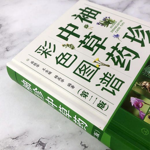 袖珍中草药彩色图谱（第二版) 商品图2