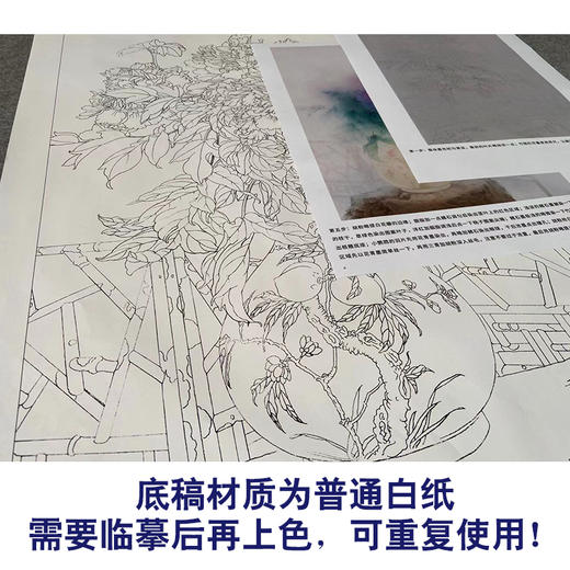 【有步骤】王震工笔画白描底稿《春风富贵花》博古花瓶初学者临摹花鸟线稿WZ05 商品图3