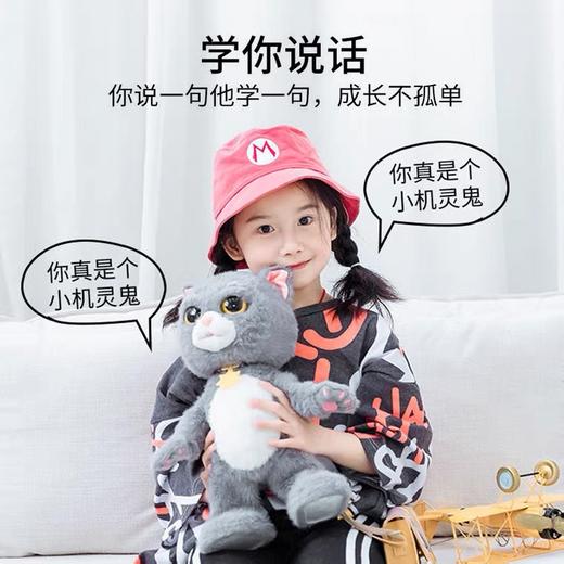 正版斑布猫躲猫猫复读公仔仿真猫 商品图2