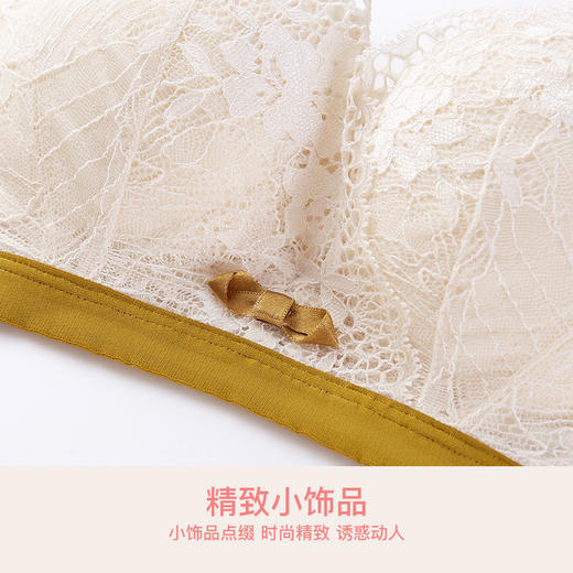 爱帝女士花卉底包边蕾丝文胸B杯型 商品图9