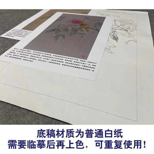 【有步骤】王震工笔画白描底稿《谁识别处客》牡丹鹦鹉初学者临摹花鸟线稿WZ15 商品图3