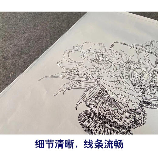 【有步骤、大彩图】王震工笔画白描底稿斗方小品《清供（夏）》荷花花篮初学者临摹花鸟线稿WZ31 商品图4