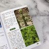 袖珍中草药彩色图谱（第二版) 商品缩略图8