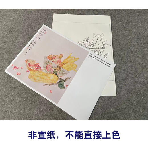 【有步骤】王震工笔画白描底稿斗方小品《佛寿三多》佛手石榴初学者临摹花鸟线稿WZ20 商品图2