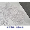 【有步骤】王震工笔画白描底稿《当时事》博古花瓶初学者临摹花鸟线稿WZ04 商品缩略图4