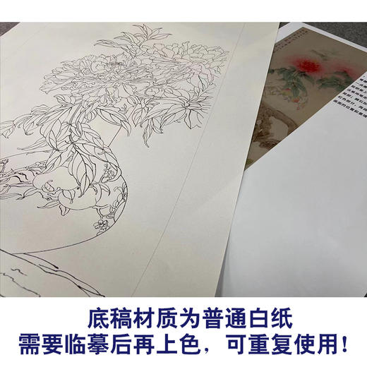 【有步骤】王震工笔画白描底稿博古画《春困久》花瓶初学者临摹花鸟线稿WZ13 商品图3