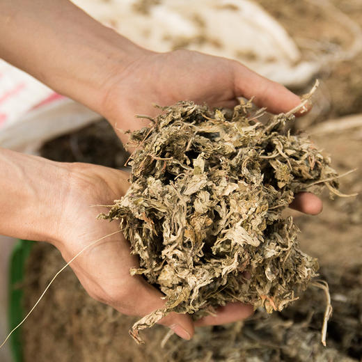 【艾草】 商品图4