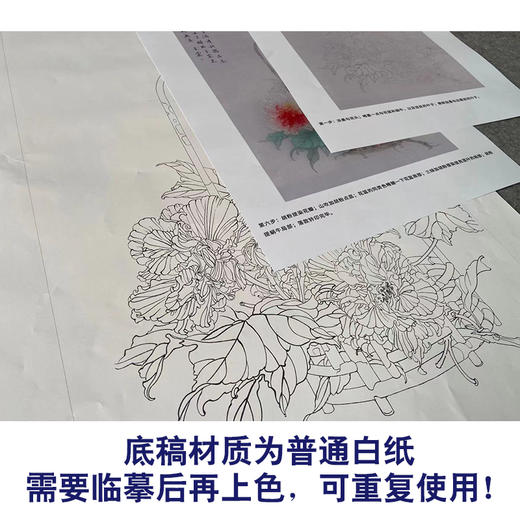 【有步骤】王震工笔画白描底稿《闻香荡舟去》芙蓉花篮初学者临摹花鸟线稿WZ08 商品图3
