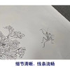 【有步骤】王震工笔画白描底稿小品《我有闲时趣》牡丹花篮初学者临摹花鸟线稿WZ11 商品缩略图4