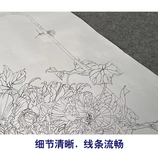【有步骤】王震工笔画白描底稿《闻香荡舟去》芙蓉花篮初学者临摹花鸟线稿WZ08 商品图4