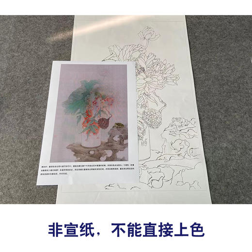 【有步骤】王震工笔画白描底稿《只许君心知》博古花瓶初学者临摹花鸟线稿WZ03 商品图2