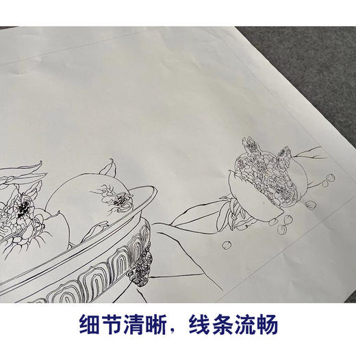 【有步骤】王震横幅工笔画白描底稿《蕊珠如火一时开》飞鸟石榴初学者临摹花鸟线稿WZ06 商品图4