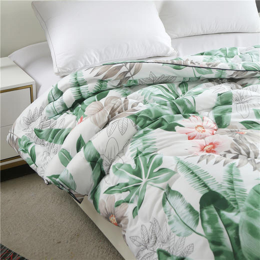 啄木鸟 亲肤绒花语秋冬被 2kg羽丝棉被 水洗抗菌被 商品图2