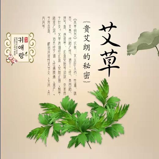 韩国lG贵爱娘韩方中草药卫生巾卫生巾42cm10P 商品图4