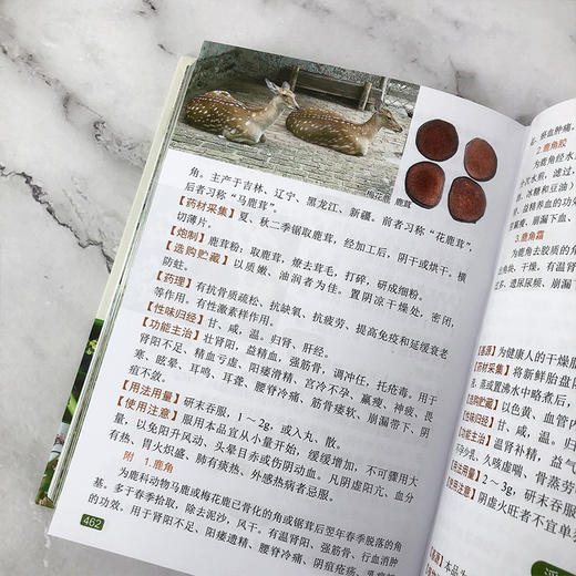 袖珍中草药彩色图谱（第二版) 商品图9