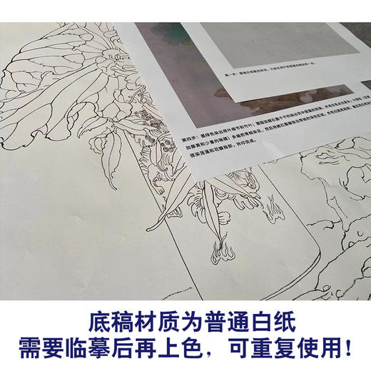 【有步骤】王震工笔画白描底稿《只许君心知》博古花瓶初学者临摹花鸟线稿WZ03 商品图3
