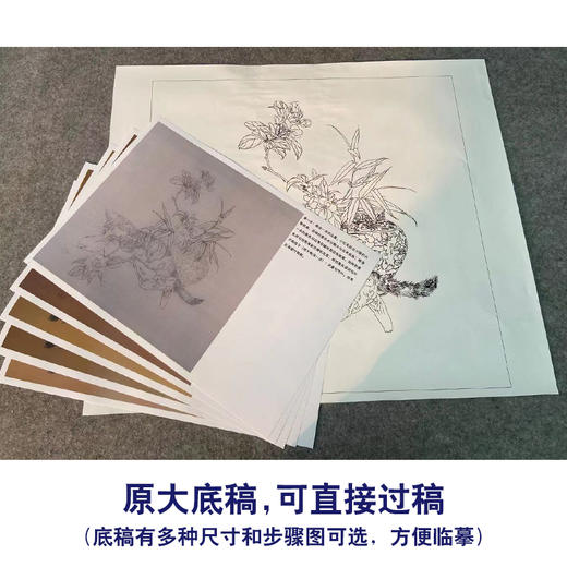 【有步骤、大彩图】王震工笔画白描底稿博古斗方小品《清供（春）》花瓶猫初学者临摹花鸟线稿WZ30 商品图1