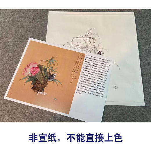 【有步骤、大彩图】王震工笔画白描底稿斗方小品《清供（夏）》荷花花篮初学者临摹花鸟线稿WZ31 商品图2