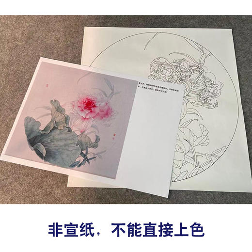 【有步骤】王震工笔画白描底稿圆形小品《荷花》初学者临摹花鸟线稿WZ26 商品图1