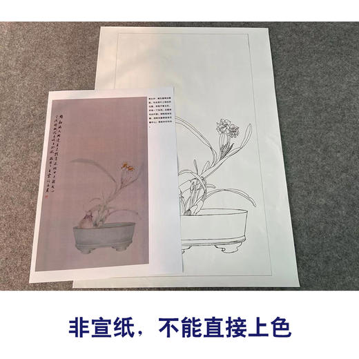 【有步骤】王震工笔画白描底稿《只说名唤玉玲珑》水仙初学者临摹花鸟线稿WZ28 商品图2