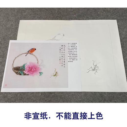 【有步骤】王震工笔画白描底稿小品《我有闲时趣》牡丹花篮初学者临摹花鸟线稿WZ11 商品图2