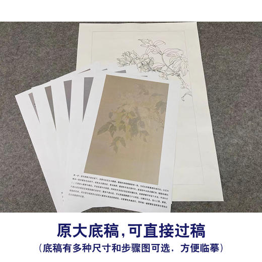 【有步骤】王震工笔画白描底稿《谁识别处客》牡丹鹦鹉初学者临摹花鸟线稿WZ15 商品图1