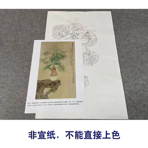 【有步骤】王震工笔画白描底稿《闲庭云梦》博古花瓶初学者临摹花鸟线稿WZ10 商品图2