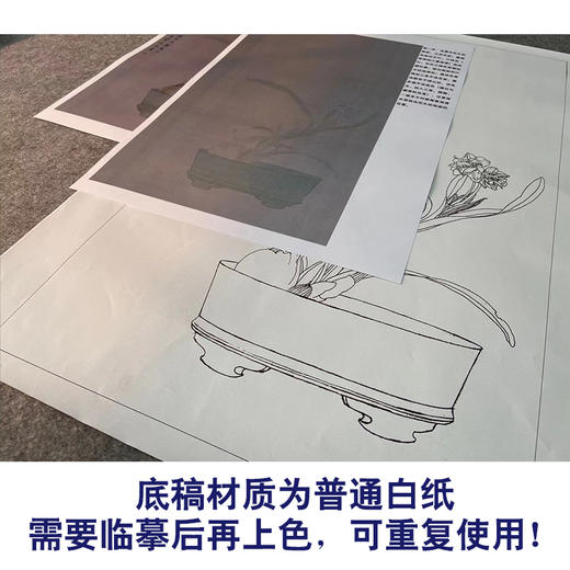 【有步骤】王震工笔画白描底稿《只说名唤玉玲珑》水仙初学者临摹花鸟线稿WZ28 商品图3