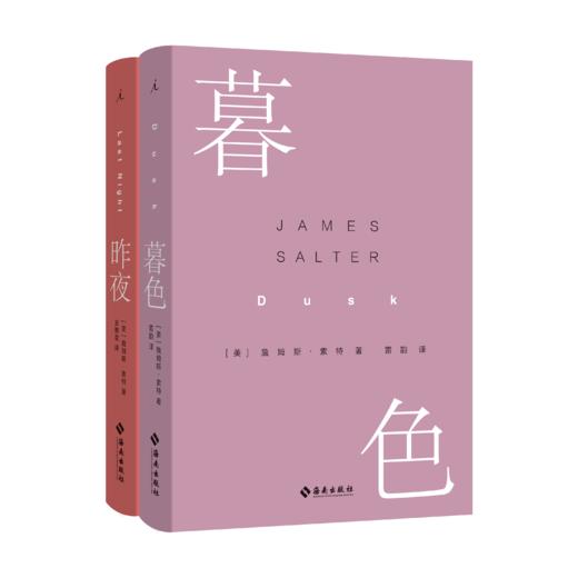 詹姆斯·索特作品系列  这一切 昨夜 暮色 一场游戏一次消遣 光年（品相不好） 商品图2