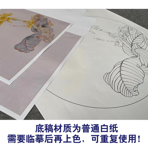 【有步骤】王震工笔画白描底稿圆形小品《偶过入琴心》美人蕉初学者临摹花鸟线稿WZ23 商品图3