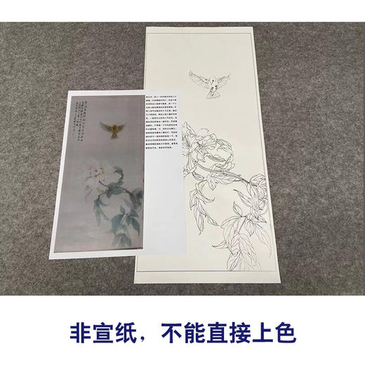 【有步骤】王震工笔画白描底稿《一朵闲花方舞》牡丹初学者临摹花鸟线稿WZ16 商品图2