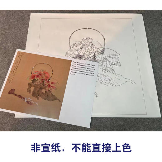 【有步骤、大彩图】王震工笔画白描底稿斗方小品《清供（秋）》花篮初学者临摹花鸟线稿WZ32 商品图2