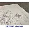 【有步骤、大彩图】王震工笔画白描底稿博古斗方小品《清供（冬）》花瓶初学者临摹花鸟线稿WZ33 商品缩略图4