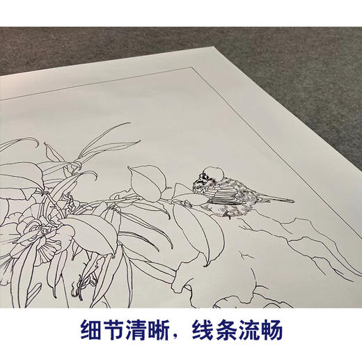 【有步骤、大彩图】王震工笔画白描底稿博古斗方小品《清供（冬）》花瓶初学者临摹花鸟线稿WZ33 商品图4