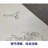 【有步骤】王震工笔画白描底稿《一朵闲花方舞》牡丹初学者临摹花鸟线稿WZ16 商品缩略图4