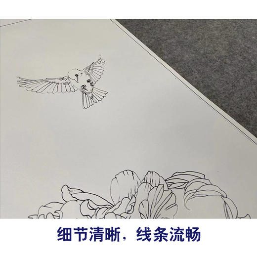 【有步骤】王震工笔画白描底稿《一朵闲花方舞》牡丹初学者临摹花鸟线稿WZ16 商品图4