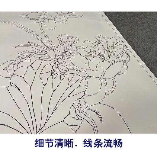 【有步骤】王震工笔画白描底稿《何曾一处不含香》博古花瓶初学者临摹花鸟线稿WZ29 商品图4