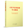习近平法治思想学习纲要 商品缩略图0