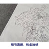 【有步骤】王震工笔画白描底稿《只许君心知》博古花瓶初学者临摹花鸟线稿WZ03 商品缩略图4