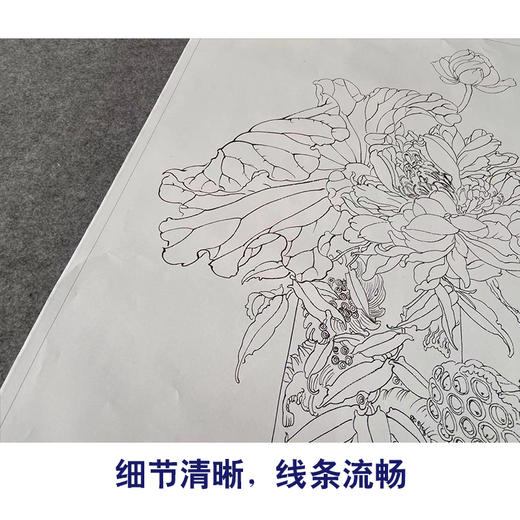 【有步骤】王震工笔画白描底稿《只许君心知》博古花瓶初学者临摹花鸟线稿WZ03 商品图4