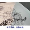 【有步骤、大彩图】王震工笔画白描底稿博古斗方小品《清供（春）》花瓶猫初学者临摹花鸟线稿WZ30 商品缩略图4