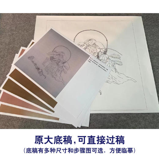 【有步骤、大彩图】王震工笔画白描底稿斗方小品《清供（秋）》花篮初学者临摹花鸟线稿WZ32 商品图1