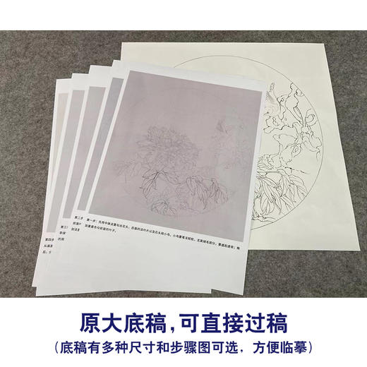 【有步骤】王震工笔画白描底稿圆形小品《牡丹圆光》牡丹翠鸟初学者临摹花鸟线稿WZ12 商品图1