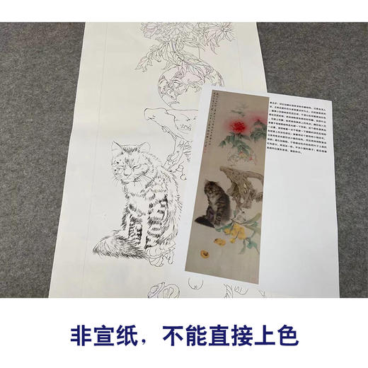 【有步骤】王震工笔画白描底稿博古画《春困久》花瓶初学者临摹花鸟线稿WZ13 商品图2