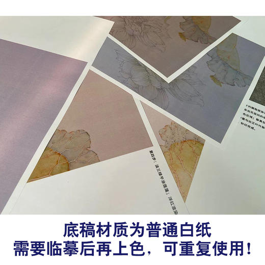 【有步骤】王震工笔画白描底稿斗方小品《与子偕老》荷花初学者临摹花鸟线稿WZ18 商品图3