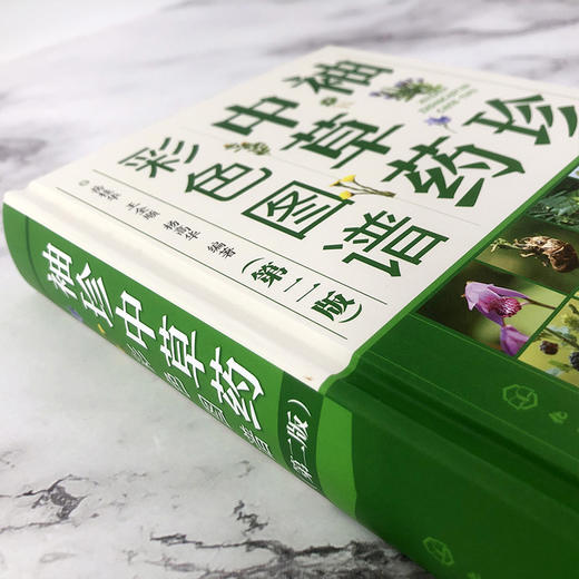 袖珍中草药彩色图谱（第二版) 商品图3