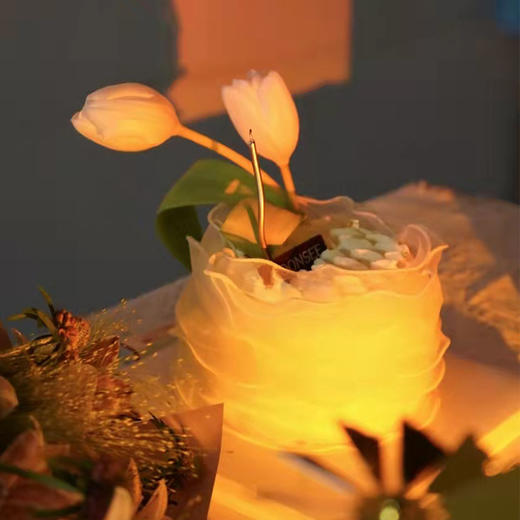 月光之恋 商品图2