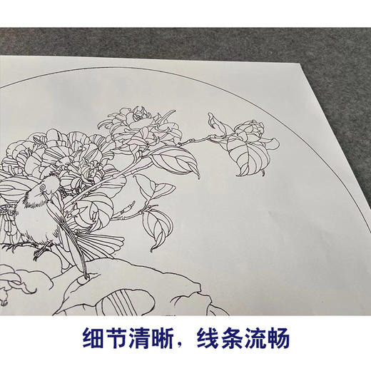 【有步骤】王震工笔画白描底稿圆形小品《踏春泥》山茶花初学者临摹花鸟线稿WZ27 商品图4